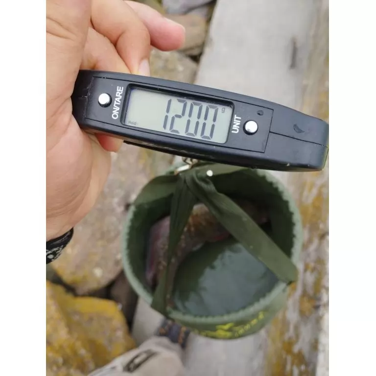 Pont 1200 gramm