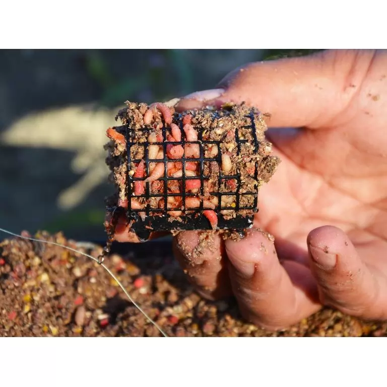 Egy kis Scobar Aroma Tuninggal megspékelt Big River - Fürge Márna etetőanyagot és egy jó adag csontit töltöttem a River Feeder kosárba. A csali szintén csontkukac volt, 3 szem, fehér és piros változatok vegyesen