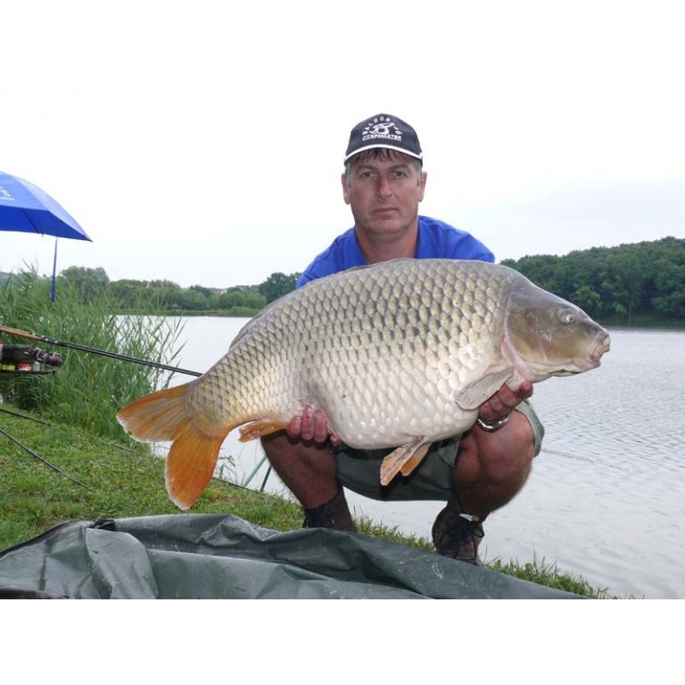 Józsi eddigi legnagyobb tőpontyát is ezen a napon fogta, amely 15,3 kg!