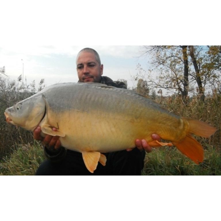 11,20 kg