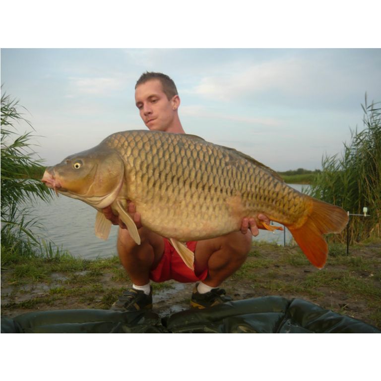 13.50 kg