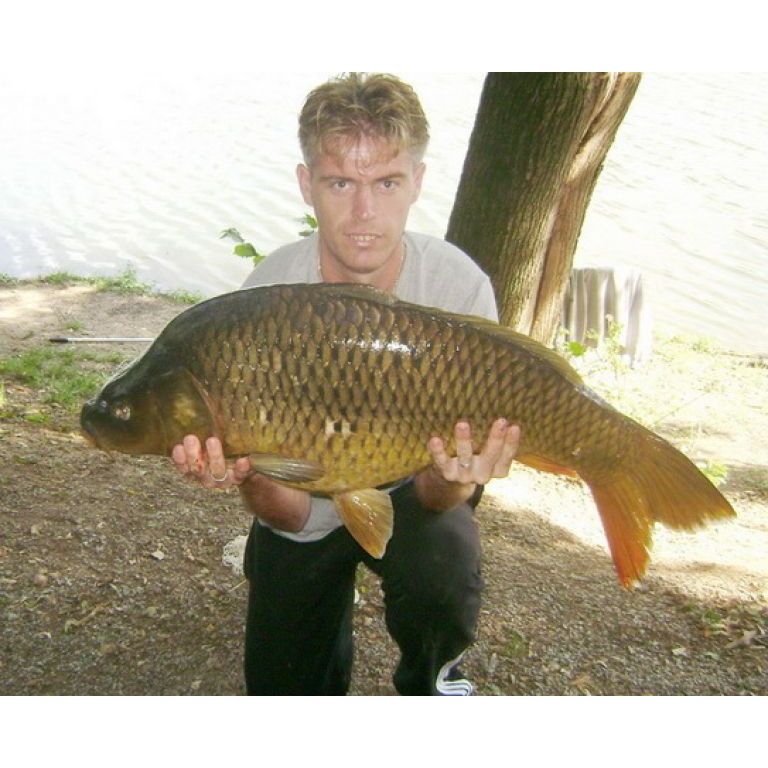 16,5 kg ponty 