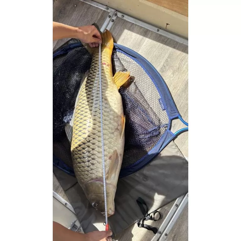 85 cm farok úszó nélkül 