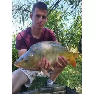 Ponty