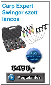Carp Expert Swinger szett láncos