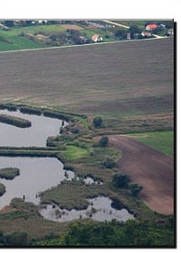 Pátka horgásztó