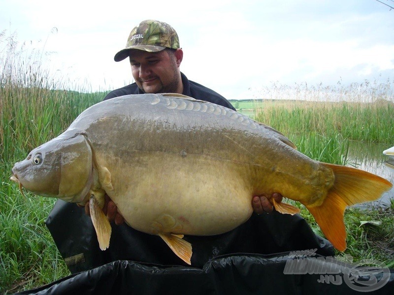 … valamint Zoli 19,2 kg-os pocakos aranyhasúja bizonyult