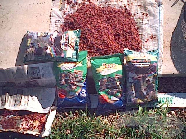 Bogára és mulettre való etetőanyagot használunk szúnyoglárvával dúsítva
