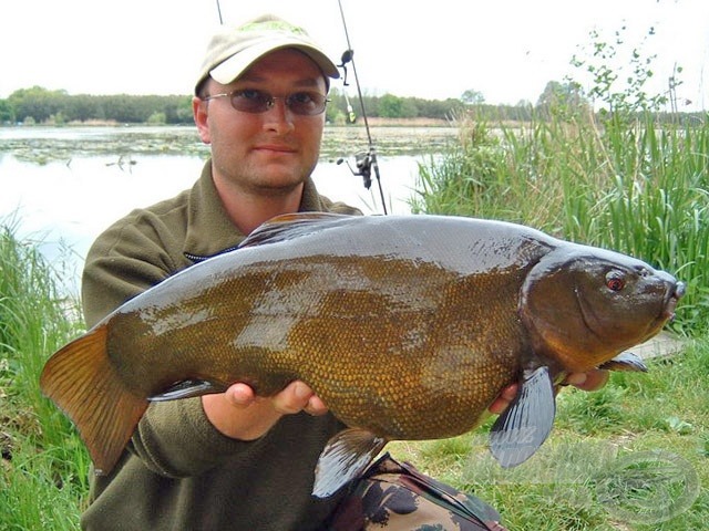 A 2,54 kg-os compó - ezúttal egy másik beállításban)