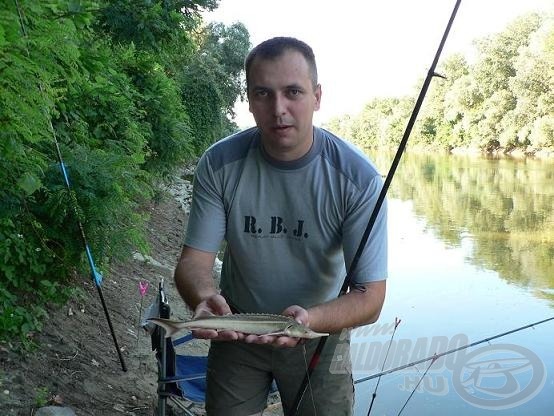 Pesze Balázs élete első kecsege fogása