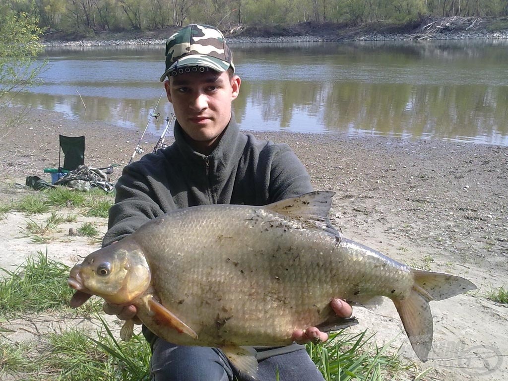 A meglepetés dévér, 3,55 kg