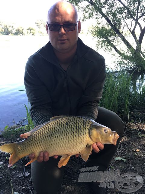 Makádon ilyen szép ráckevei pikkelyes pontyok is laknak