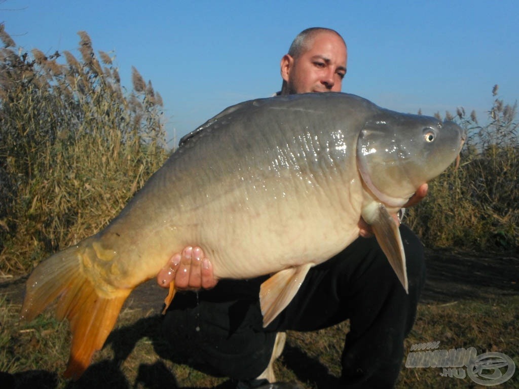 „Pakolós” tükrös: 13,40 kg