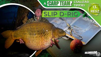 A Haldorádó Carp Team csalizási tippjei 13. rész – Slip D-rig