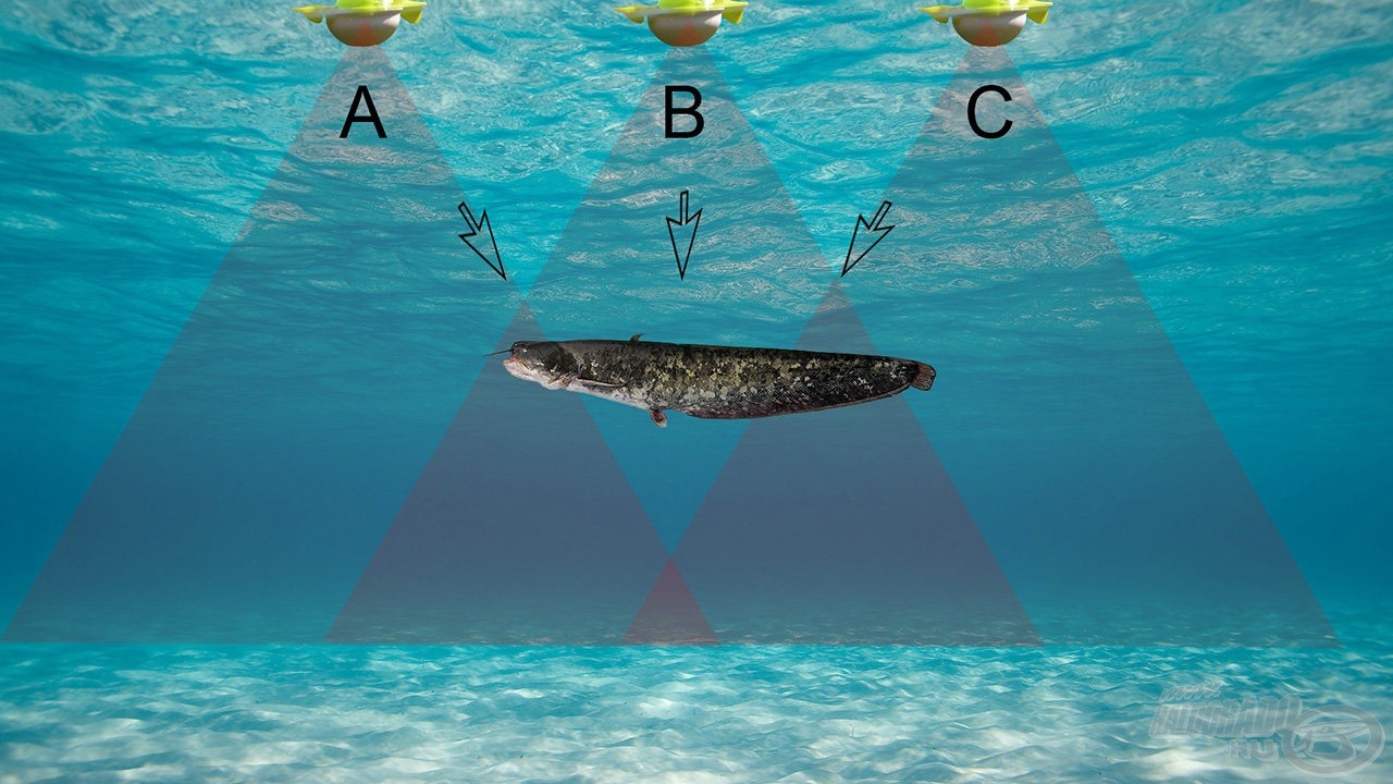 Az „ A” jelű helyzetben a jeladó „látószöge” szélén éppen csak „látja” a halat és itt nagyobb a távolság is, ami gyenge és a vízoszlopban mélyebb helyen érzékelt jelet eredményez. A „B”jelű helyzetben már erős és közelebbi jelet látunk. A „C” jelű helyzetben ismét gyenge és távolabbi a jel. Így alakul ki a radarok kijelzőjén a tipikus halsarló
