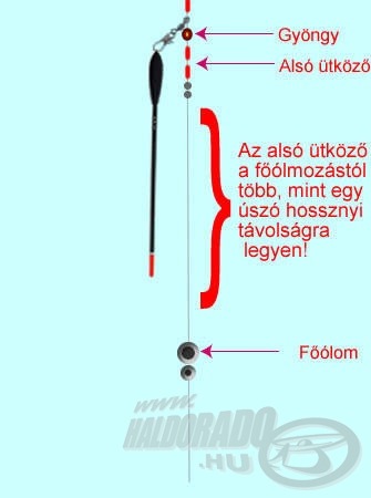 Az alsó ütköző és a főólom között valamivel több, mint az úszó hosszának megfelelő távolság legyen!