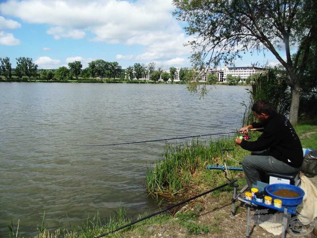 Arra, hogy jól csináljuk-e a dolgunk, a halak adják meg a választ