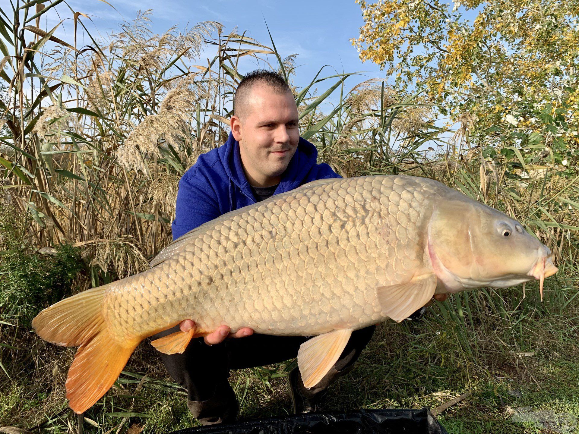 … egy hibátlan, 10 kg feletti tőpontyot tarthattam a kezemben…