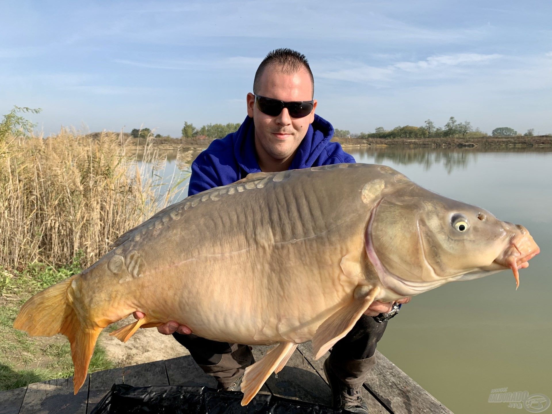 … ezekért a pillanatokért érdemes horgászni, közel a 15 kg-hoz ez a kapitális méretű tükörponty…