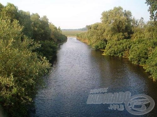 Vadregényes kis csatorna, ígéretes sügerezőhely