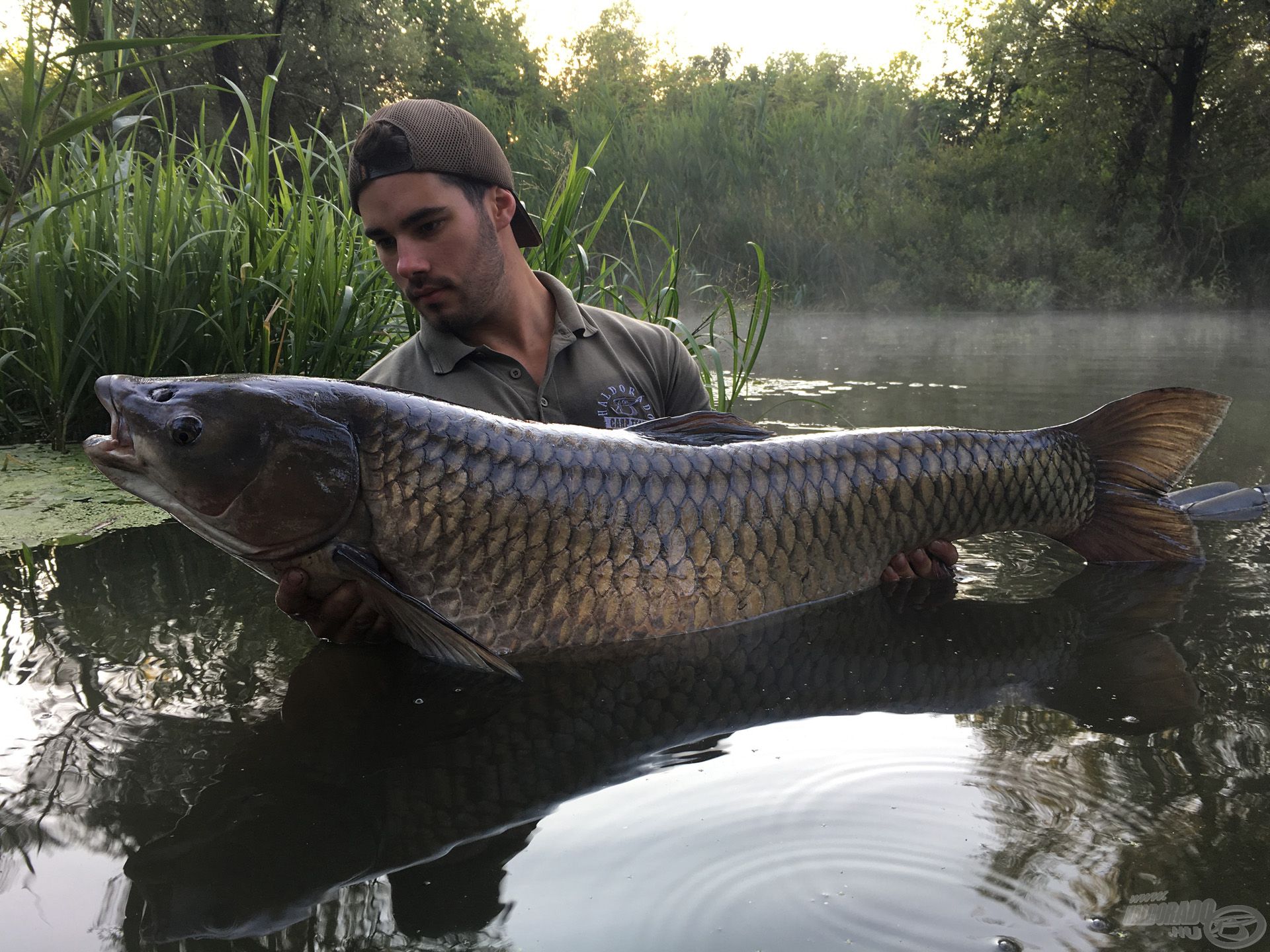 Személyes rekordom, egy 23,28 kg-os vadvízi amur!