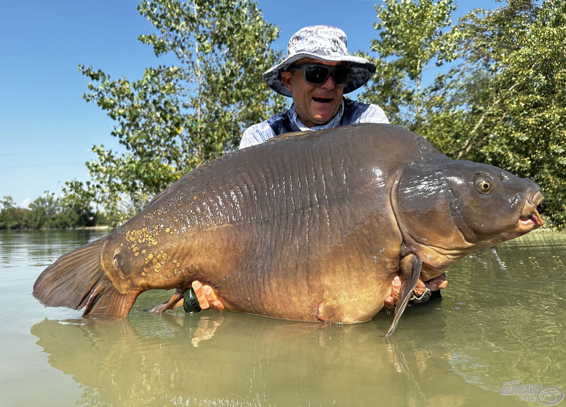 Ennek köszönhetem a 30,90 kg-os tükörponty rekordomat…