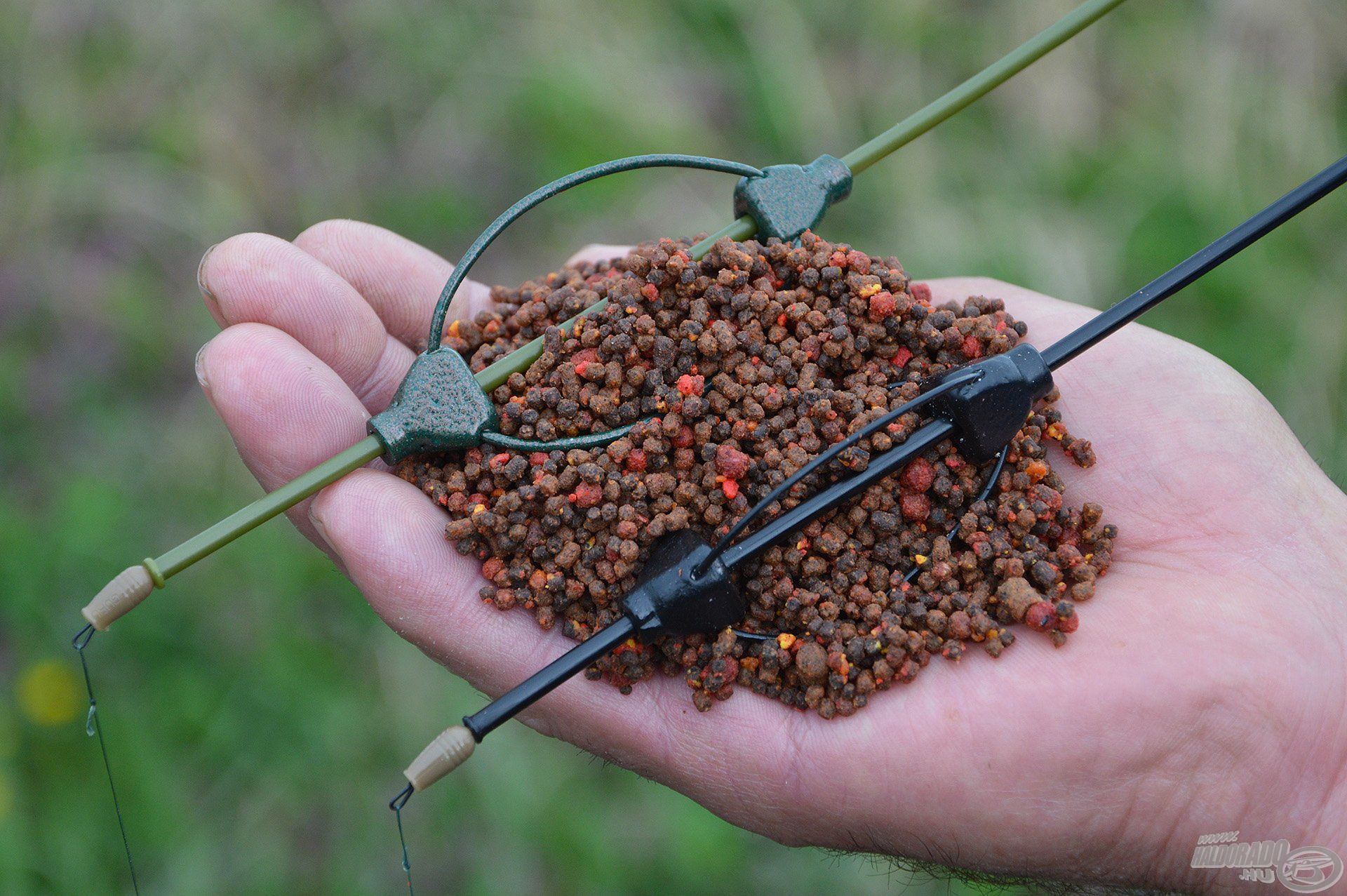 Pellet Feeder kosárba töltött pelletkeverékekkel érdemes nekilátni a tokhalazásnak