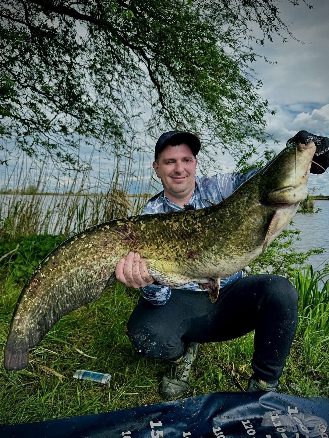 A nappal fogott harcsákat mindig külön értékelem