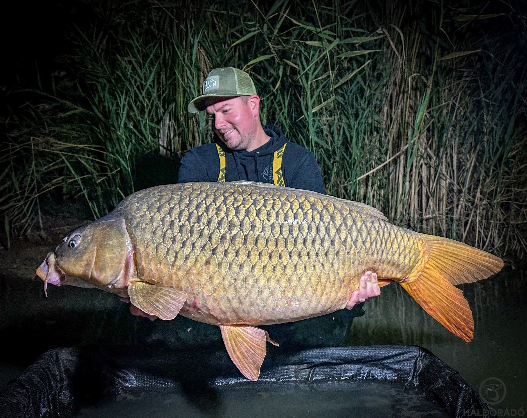 Sok nagy halat kívánok velük!