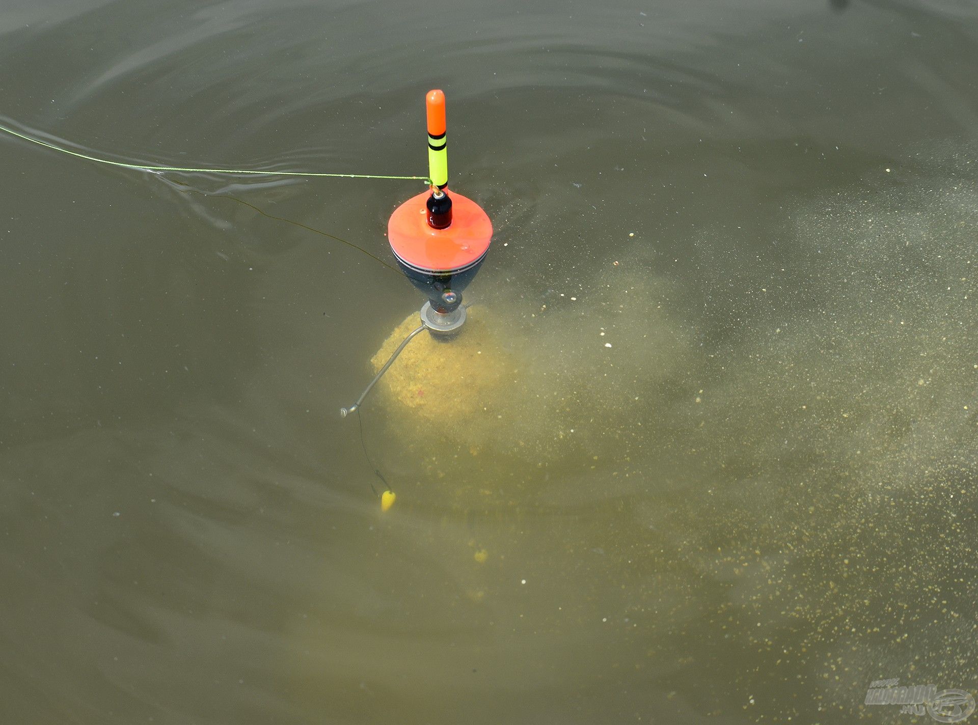 Nyugodt vízben a legeredményesebb a Silver Carp úszó használata