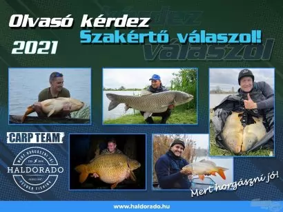 A szakértő válaszol! – 93.rész