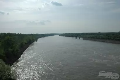 A Szigetköz varázsa pontyhorgász szemmel