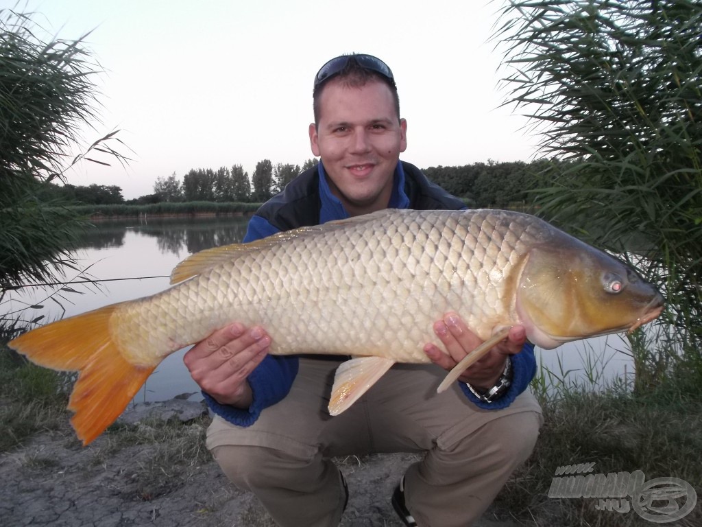 Közel 7 kg-os, hibátlan nyurga…