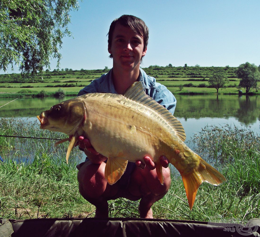 Gyönyörű, egészséges hal, ami kifejezetten egyedi, világos színnel rendelkezett (3,1 kg-ot nyomott :))