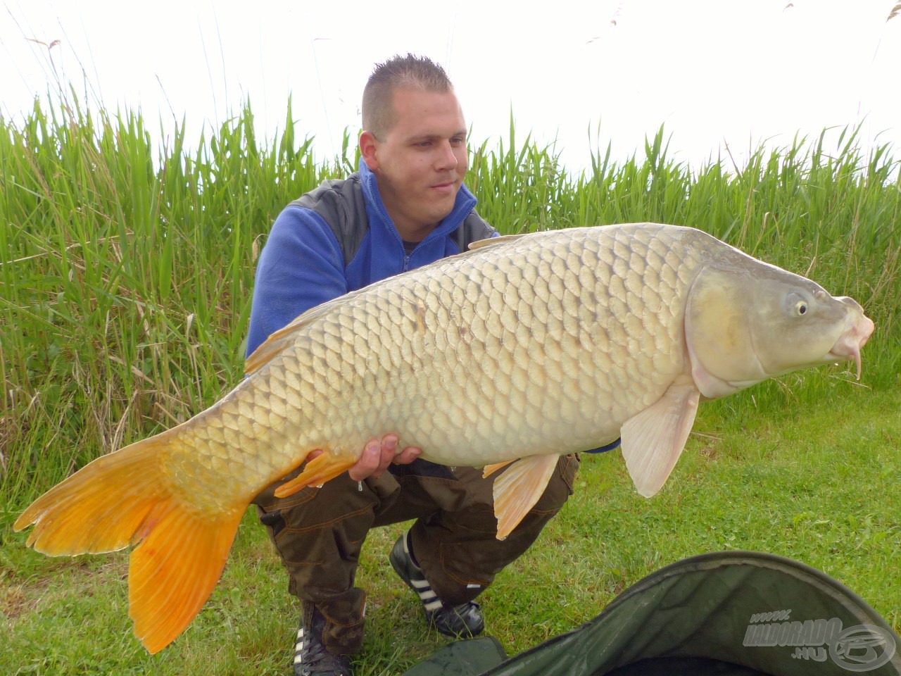 A horgászat koronáját jelentette ez a gyönyörű, 14,16 kg-os tőponty