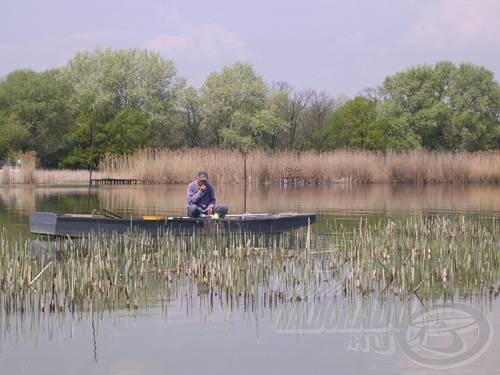 Ha módunkban áll, nézzünk körül már tavasszal! Ekkor - főképp, ha valaki le is vágta a növényeket - jól feltérképezhető egy-egy hely