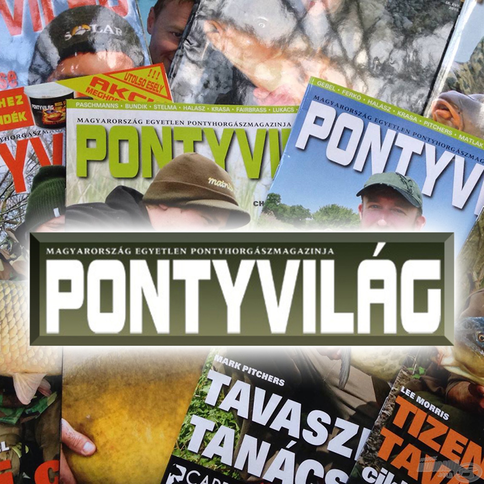 Pontyvilág