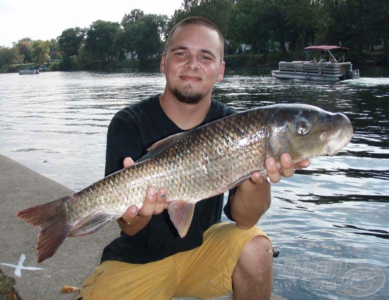 A versenyen kifogott legnagyobb redhorse sucker, amely súlya 7 pound (kb. 3,15 kg)