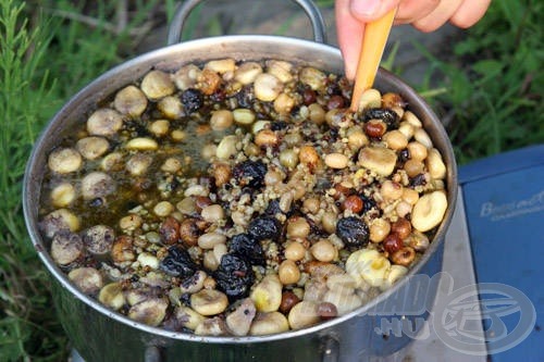 A maconkai bojlis versenyeken többek között ez a magmix segített szinte helyhez láncolni a pontyokat. Az egymást követő győzelmeinkben jelentős szerepet vállaltak ezek a magvak