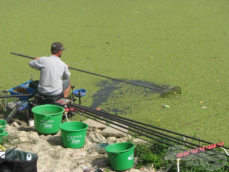 Néha hosszabb időre teljesen bezárult a zöld massza. Erdei Attila utána is nézett, milyen is a Tisza vize…