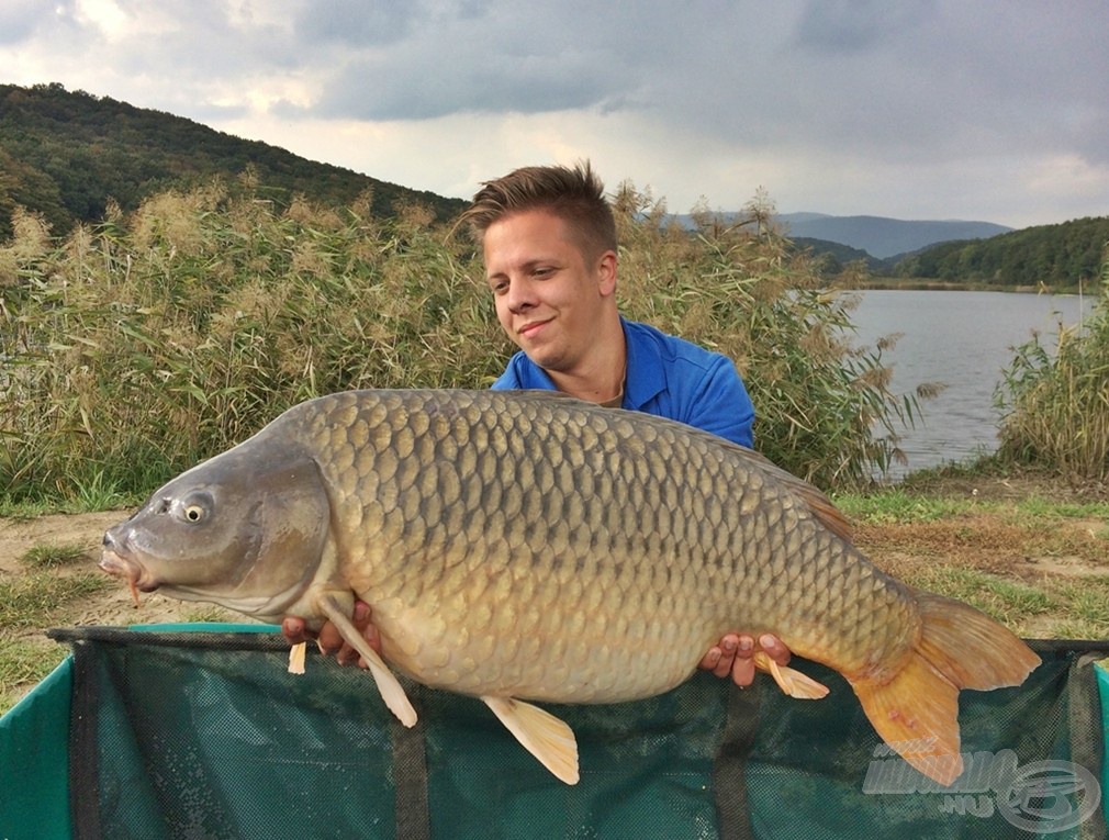 Hatalmas volt az öröm! Első harsányi halam súlya 18,90 kg volt. Az öreg tőponty mint utólag kiderült, túrám legnagyobb hala lett. Remek érzés volt egy ekkora halat a kezemben tartani