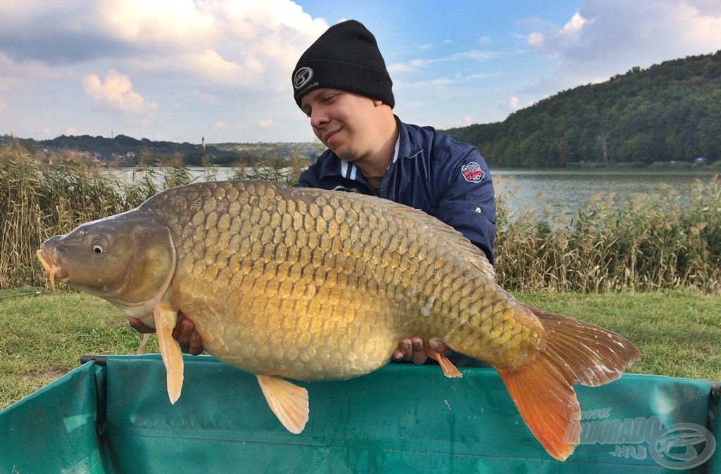 Ilyen gyönyörű, 15 kg feletti pontyot is köszönhetek annak, hogy a horgászatom minden részletét megpróbáltam a halak ízléséhez és a helyi sajátosságokhoz igazítani. Megérte!