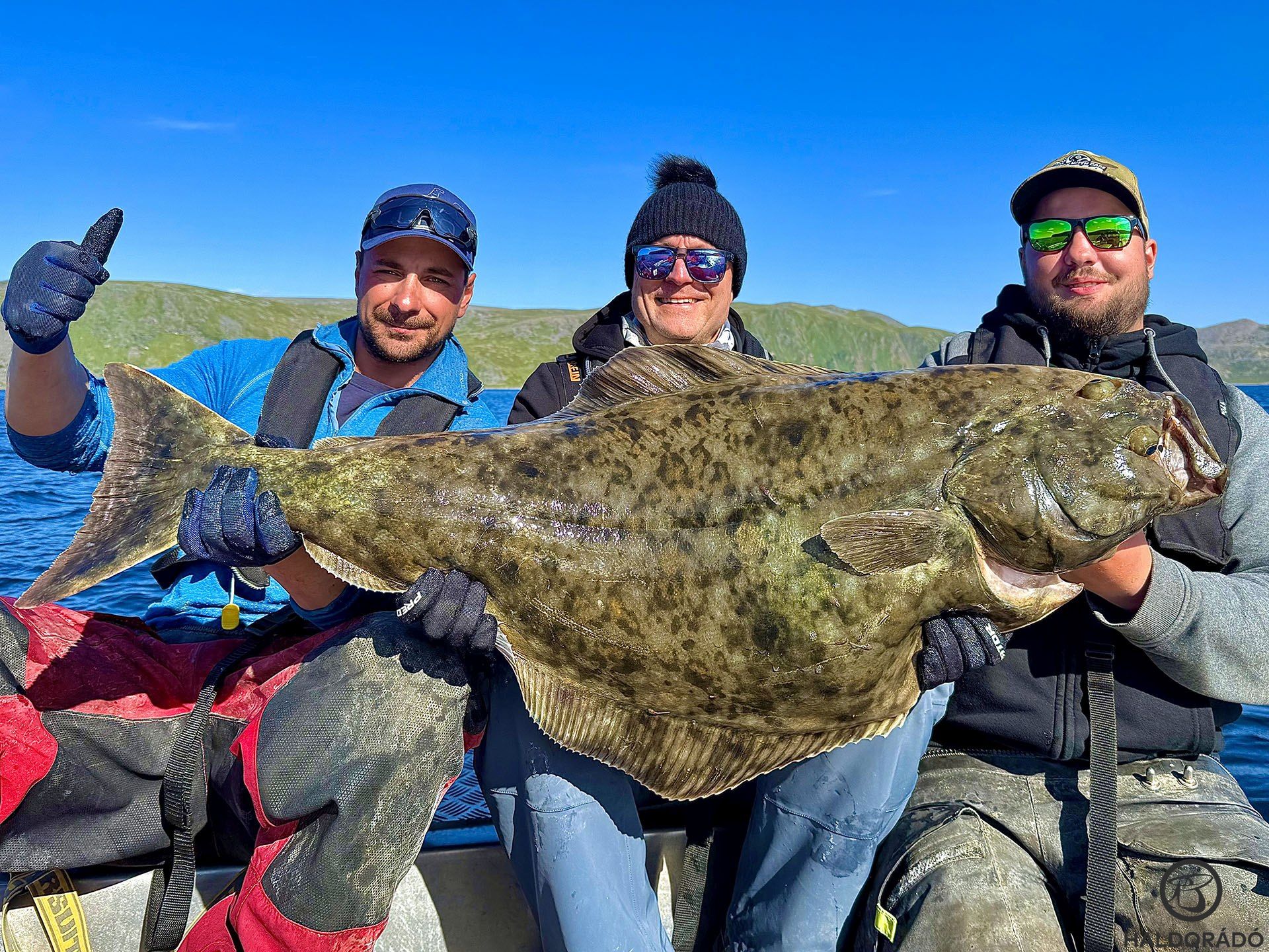 Új nap, új terület, egy még nagyobb laposhal