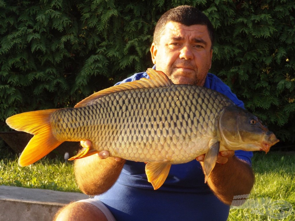 Végre ponty! Mert megérdemelt…