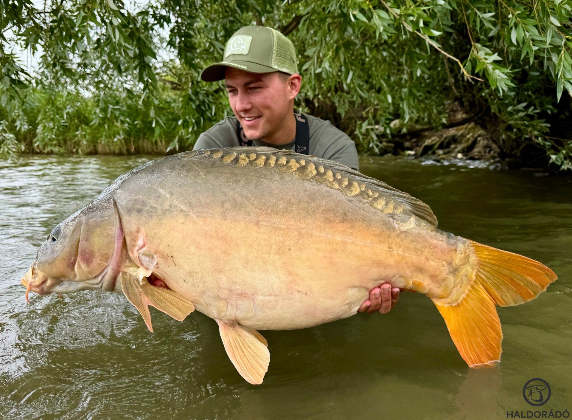 Igazi ritkaság a Kis-Balatonon