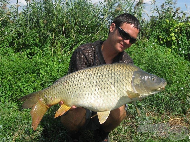 9 kg feletti pikkelyes a délután első feléből