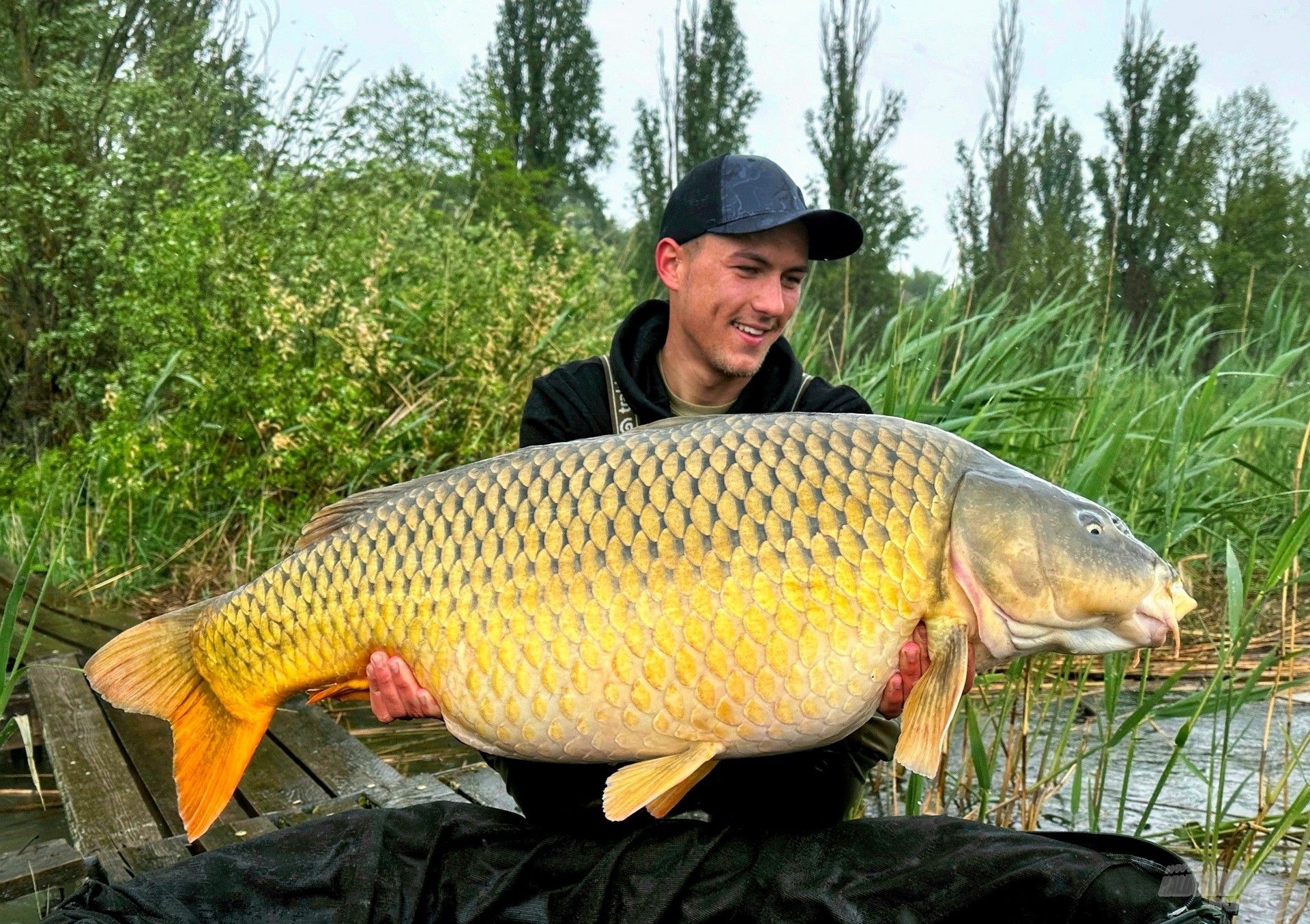 21,5 kilós balatoni csoda