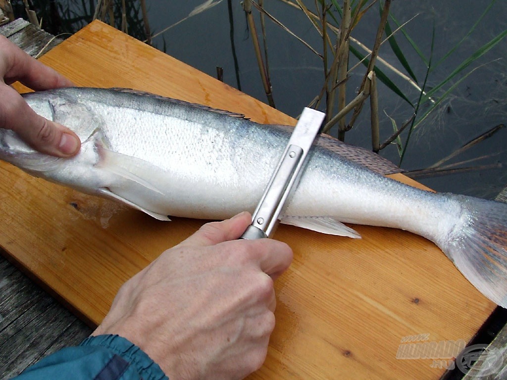 A kettős fogazású halpikkelyező is kiválóan megfelel a célra (tán egyedül az úszótövek pikkelymentesítésében jobb nála a kés)