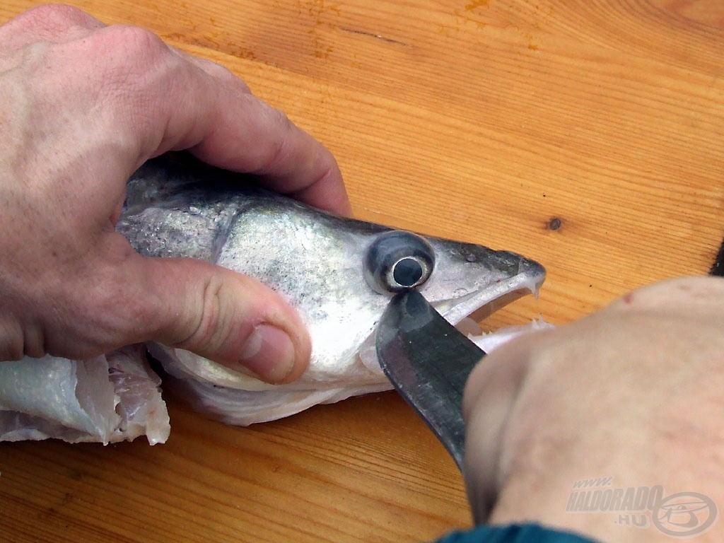 A hal szemét is könnyedén kivehetjük egy jó késsel