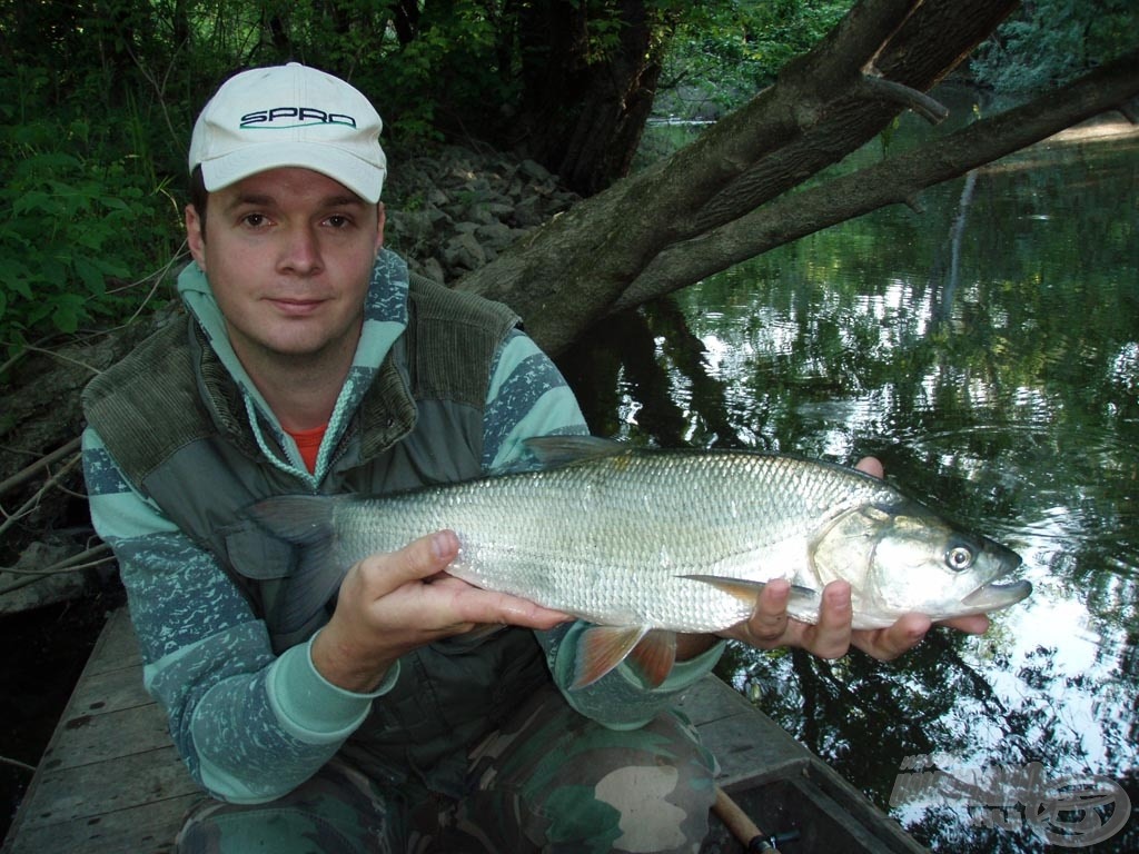 A kövek mellől 1.